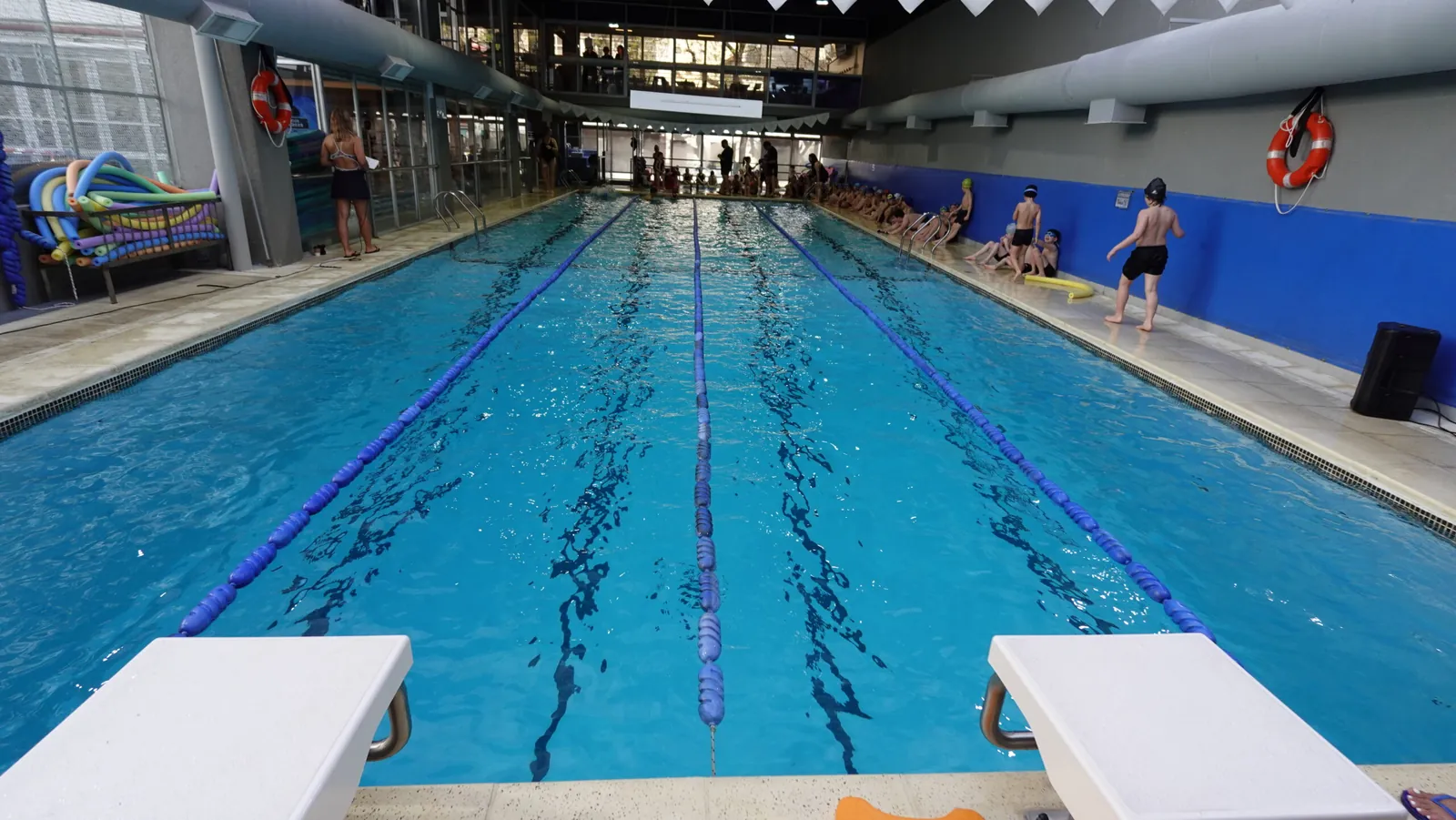 Así vivimos el torneo de natación 2025